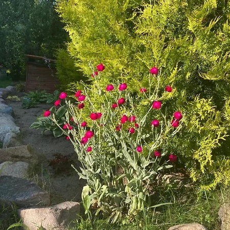 Dom W Sapach Сasa de vacaciones Sapy