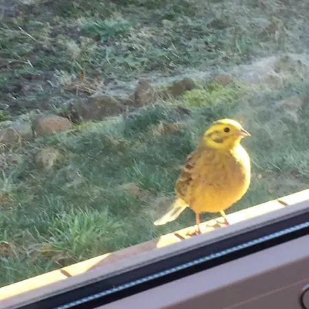 Dom W Sapach Сasa de vacaciones Sapy