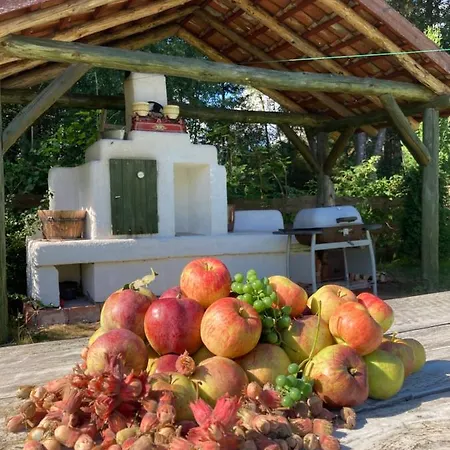 Casa de Férias Dom W Sapach