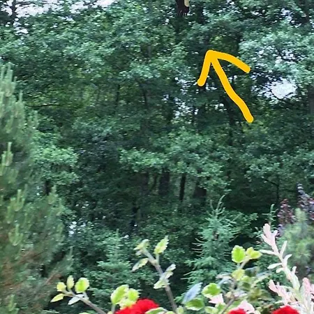 Сasa de vacaciones Dom W Sapach Sapy