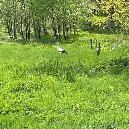 Сasa de vacaciones Dom W Sapach *