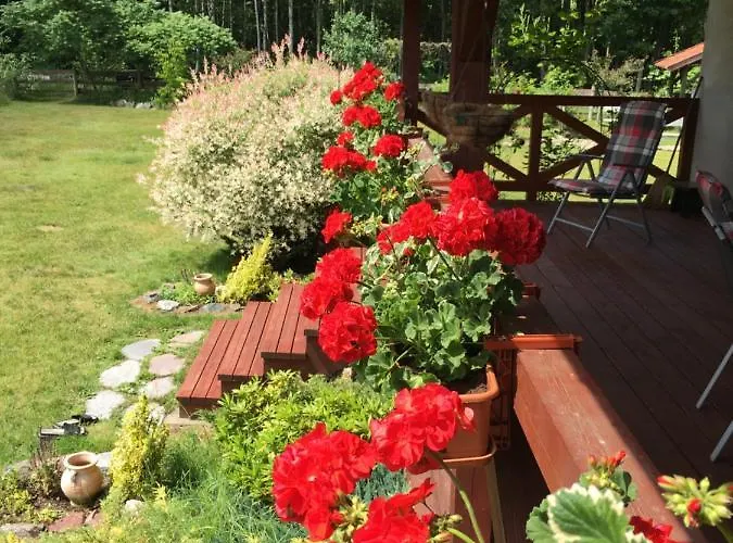 Dom W Sapach Hébergement de vacances Sapy