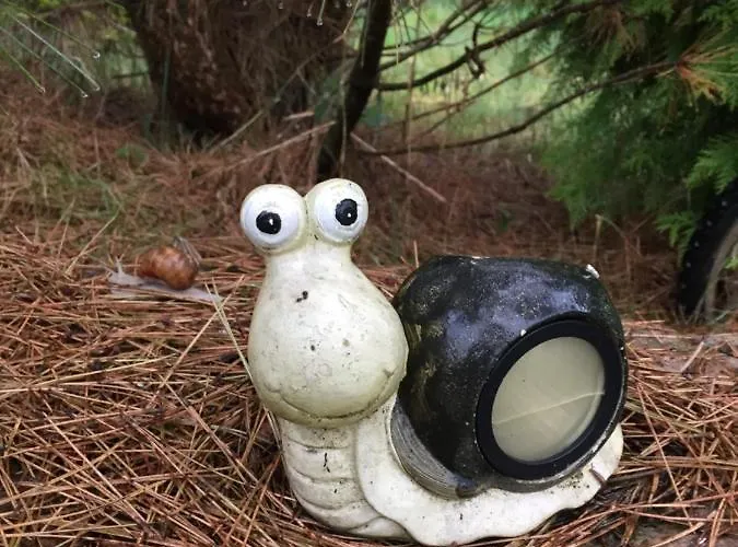 Hébergement de vacances Dom W Sapach