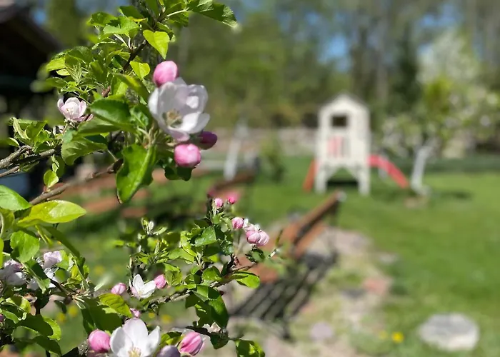 Dom W Sapach 別荘 *